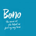 Bono by Helen Brown