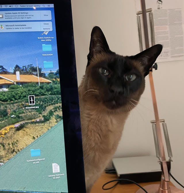 Are you typing fast enough? Editor in chief on duty.