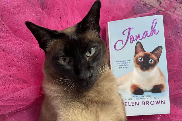 Jonah served as my dedicated editor-in-chief.